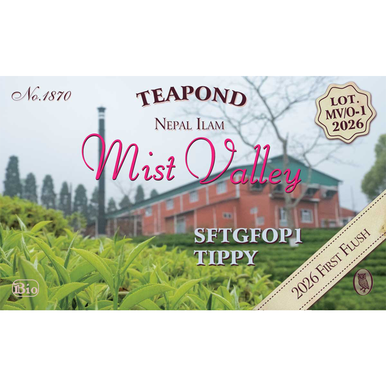 TEAPOND ネパール イラム 2026年 ファーストフラッシュ ミストバレー茶園 MV/O-1 ティッピー