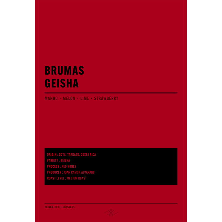 コスタリカ ブルマス ドン・ホセ ゲイシャ レッドハニー