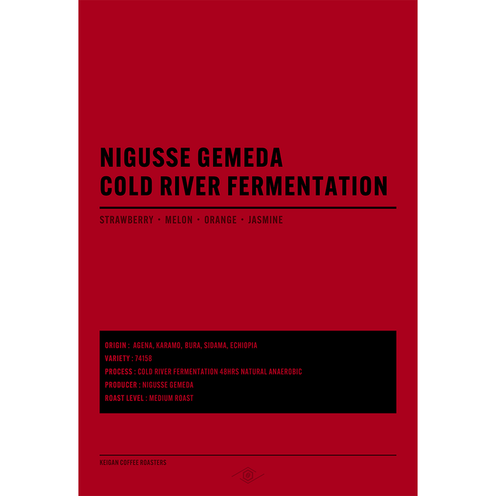 エチオピア ニグセ・ゲメダ アゲナ コールドリバーファーメンテーション 48hrs