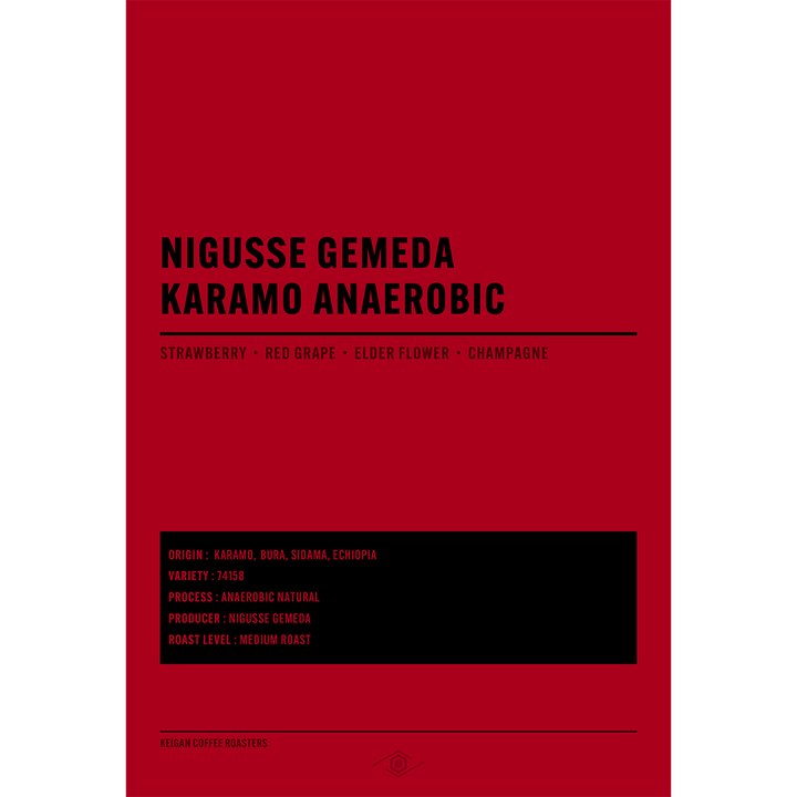 Ethiopia Niguse Gemeda Karamo Anaerobic Natural